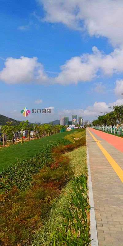 珠海項(xiàng)目道路綠化工程