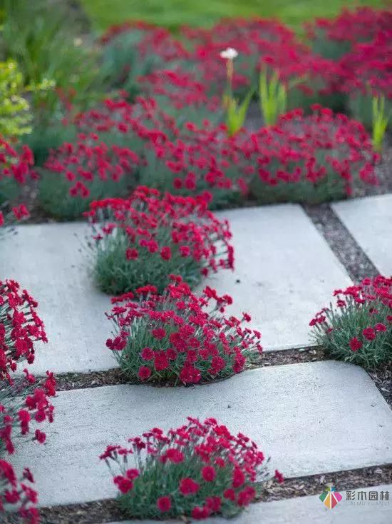 花園設(shè)計(jì)改造，手把手教你打造最美花園