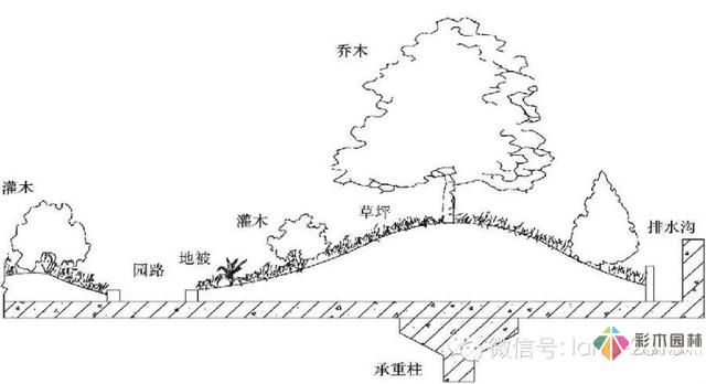 景觀規(guī)范設(shè)計(jì)-屋頂花園設(shè)計(jì)規(guī)范摘要