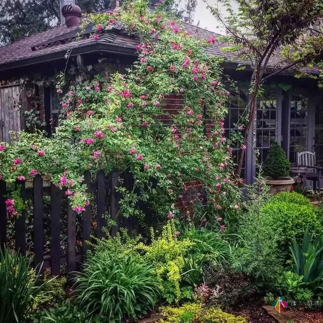 別讓花園空著，彩木園林給您打造一個花園式庭院