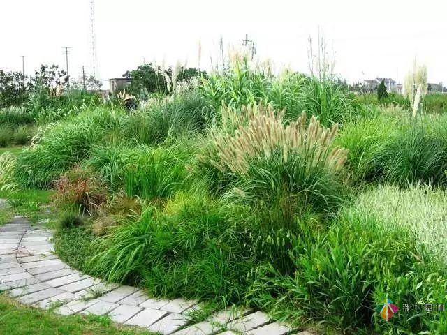 重慶72種常見私家花園綠化植物有哪些？