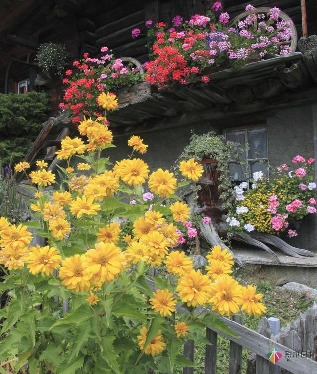 這樣子的庭院花園施工維護(hù)，花鏡美的不要不要的！