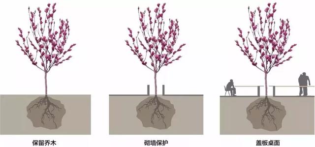 2019新名詞樹桌花園庭院設(shè)計(jì)