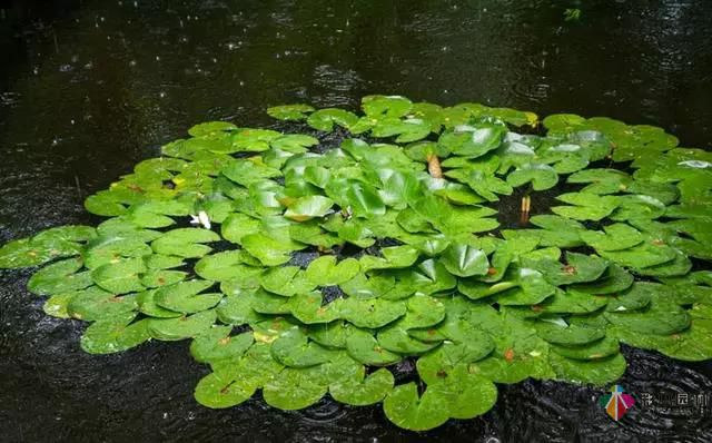 這樣的私家花園設(shè)計(jì)生活才接地氣