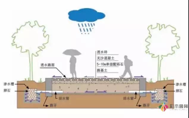 園林綠化及園林綠化施工過程全解