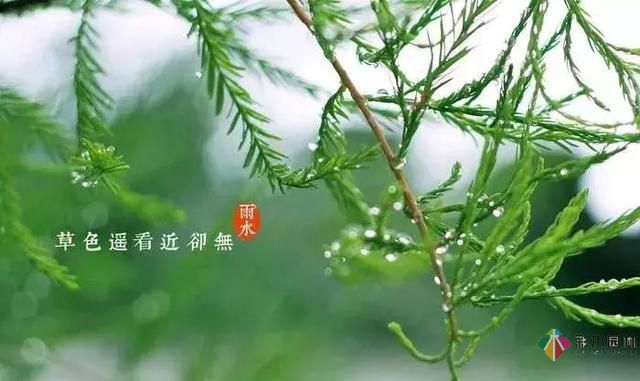 17種園林綠化種植技術(shù)及處理辦法，值得珍藏！