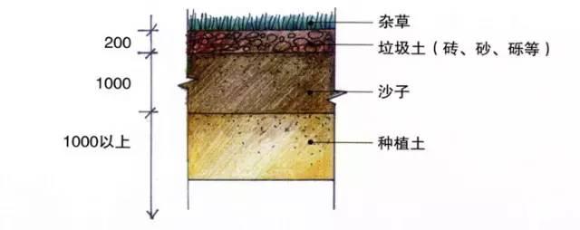 庭院設(shè)計 | 花園、庭院設(shè)計詳細流程