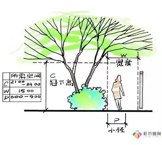 把握花園設(shè)計要素，建造實(shí)用私家花園