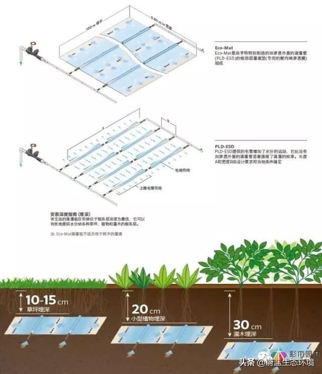 屋頂花園設(shè)計(jì)規(guī)范及植物配置！值得珍藏