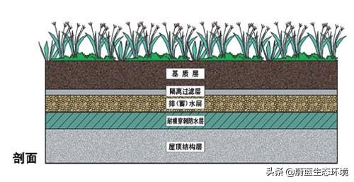 屋頂花園設(shè)計(jì)規(guī)范及植物配置！值得珍藏