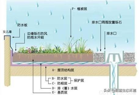 屋頂花園設(shè)計(jì)規(guī)范及植物配置！值得珍藏