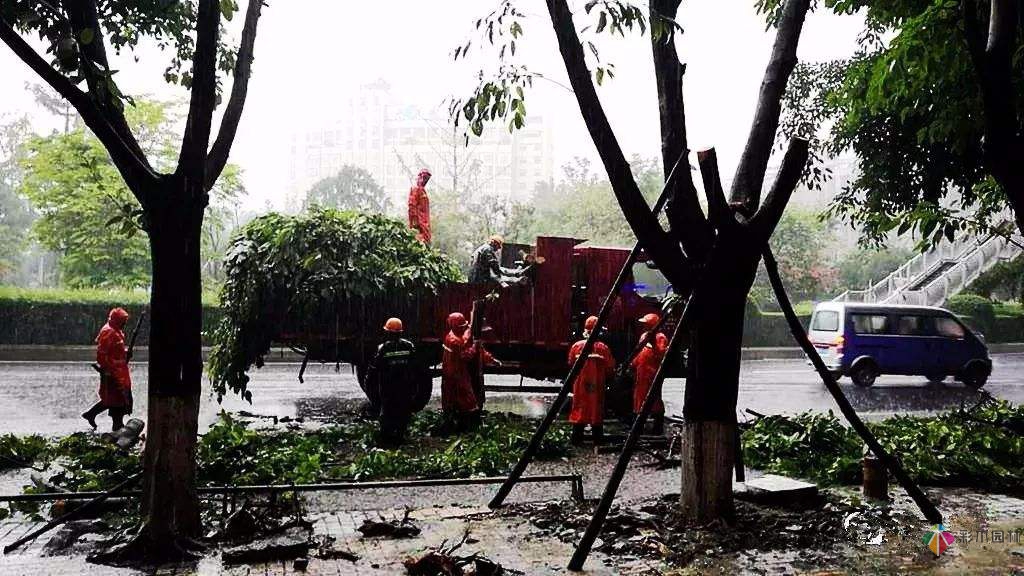 夏季雨季園林景觀工程施工要注意哪幾點？