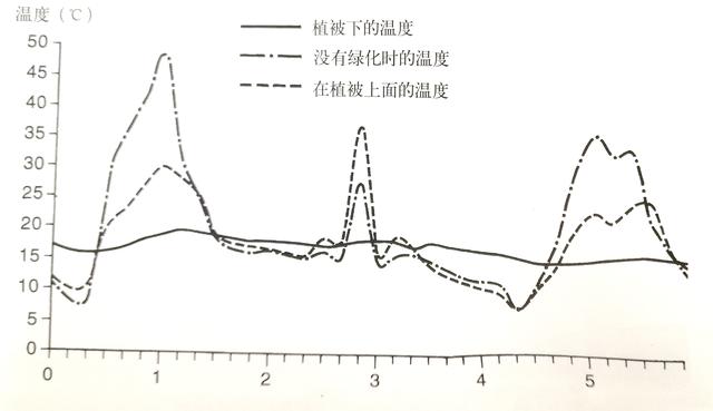 屋頂花園設(shè)計(jì)不光是好看，更有這些你不知道！