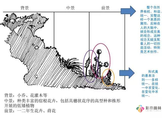 庭院花境園藝設(shè)計和植物搭配需要哪些要求？