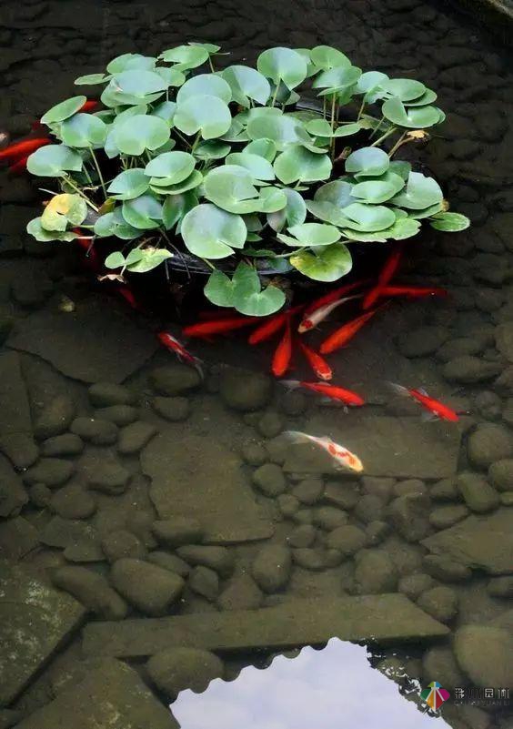 庭院花園設(shè)計怎么少的了水景？