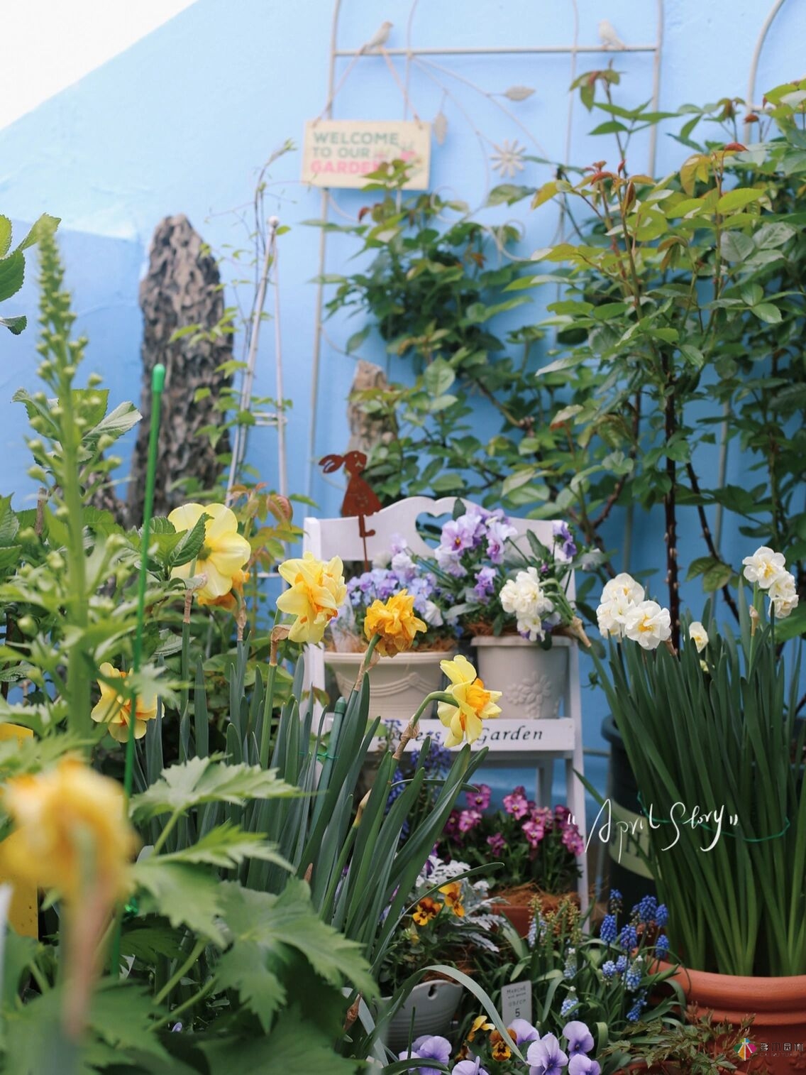 30㎡復(fù)式露臺(tái)，種花種草打造“sky 花園”，折騰了一年多，