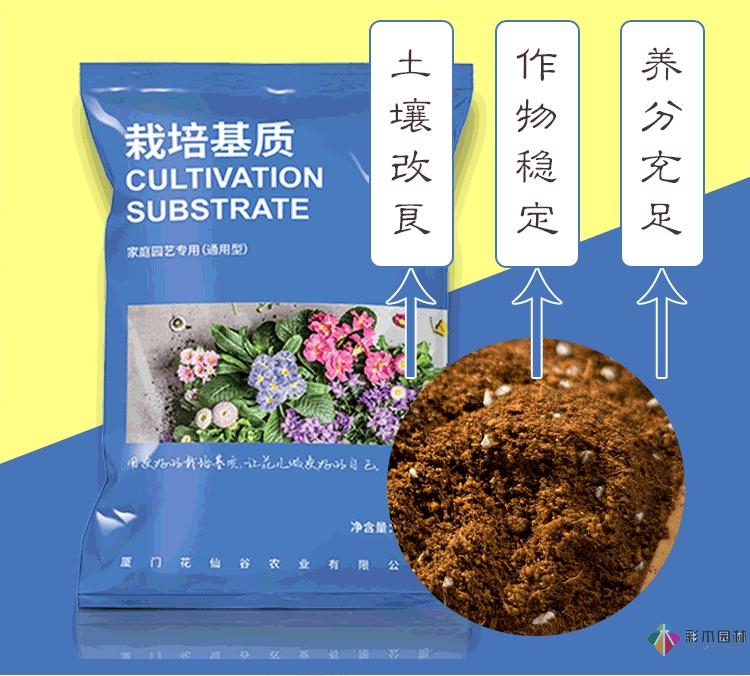 不顧父母反對(duì)，買了一層110㎡的院子，自己一個(gè)人折騰成花園。就這么治好了。
