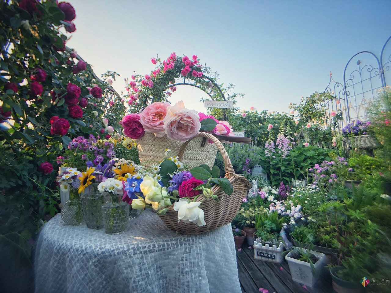 花了4年時(shí)間搭建了13㎡的屋頂露臺(tái)花園，每個(gè)角落都美如畫(huà)