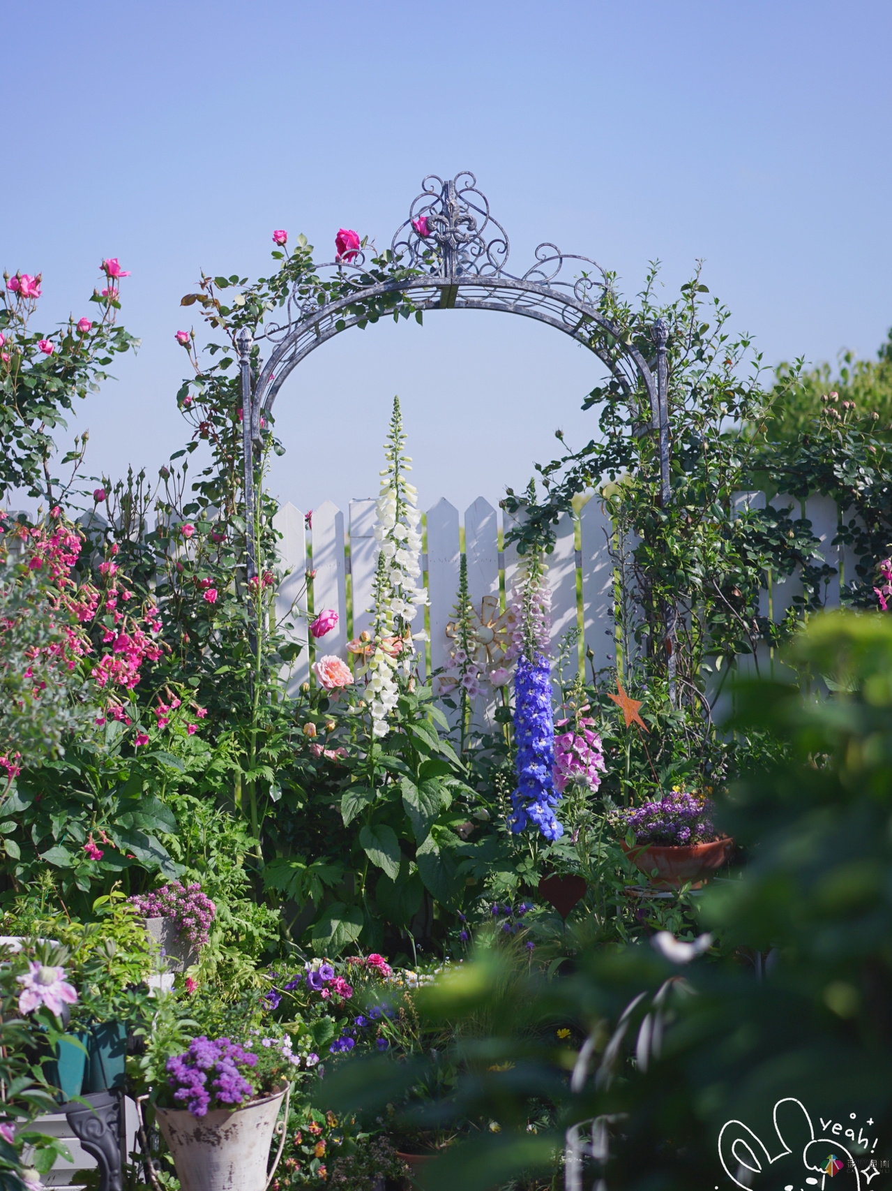 花了4年時(shí)間搭建了13㎡的屋頂露臺(tái)花園，每個(gè)角落都美如畫(huà)