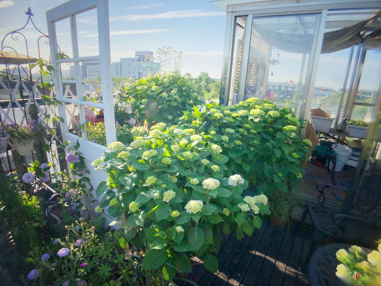 花了4年時(shí)間搭建了13㎡的屋頂露臺(tái)花園，每個(gè)角落都美如畫(huà)