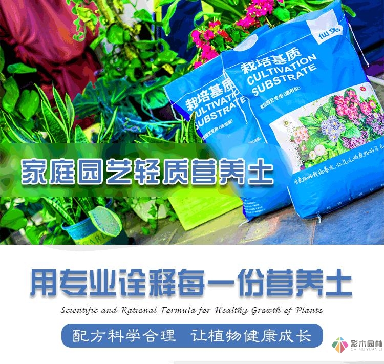 舊房改造:DIY 花園攻略，快速利用閑置空間，很漂亮。