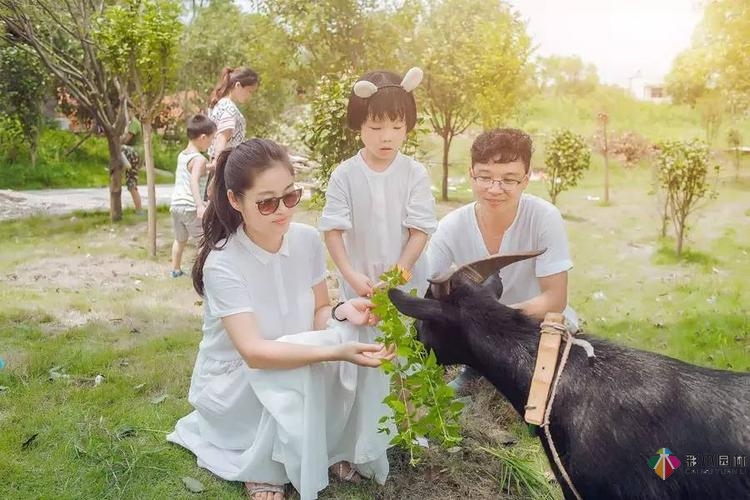 健康長(zhǎng)壽的秘訣竟然是……一座治愈性花園？